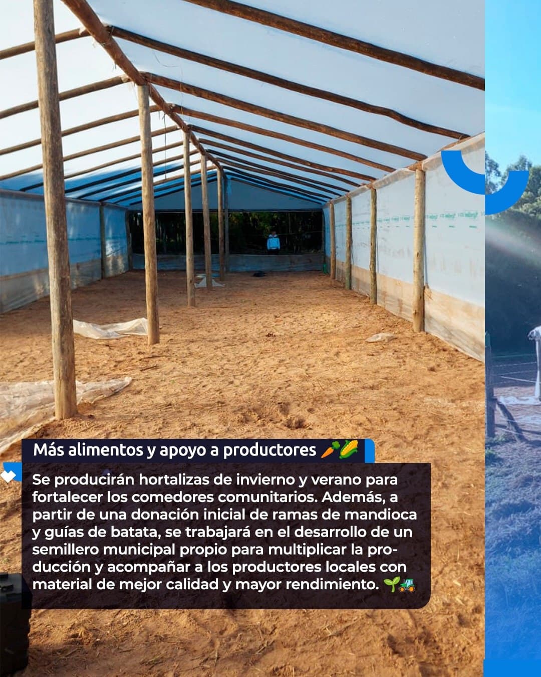 VIVERO MUNICIPAL: PRODUCCIÓN, TRABAJO Y DESARROLLO LOCAL 🌱